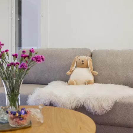 Lapland Appartement *